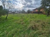 Terrain à bâtir à Guewenheim (68116) 2074055-6989annonce120250207CI1qC.jpeg Maisons France Confort