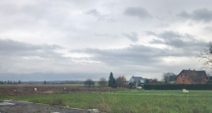 Dietwiller Terrain à bâtir - 2074087-6989annonce120250207fChrV.jpeg Maisons France Confort