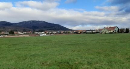 Wattwiller Terrain à bâtir - 2076091-11139annonce120250211WVf9U.jpeg Maisons France Confort