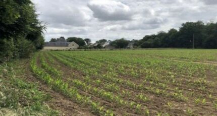 Mouen Maison neuve - 2078015-10282annonce2202502121dDFd.jpeg Maisons France Confort