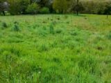 Terrain à bâtir à La Geneytouse (87400) 2078936-3291annonce120250213g2D90.jpeg Maisons France Confort