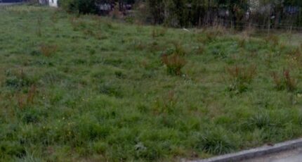 Suippes Maison neuve - 2049687-10076annonce120250113eNSii.jpeg Maisons France Confort