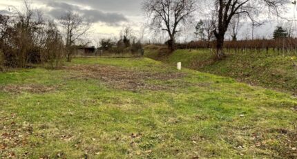 Eguisheim Maison neuve - 2078617-11028annonce120250213cEkIZ.jpeg Maisons France Confort