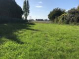 Maison à construire à Annet-sur-Marne (77410) 2080432-5508annonce120250214WDISZ.jpeg Maisons France Confort