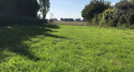 Annet-sur-Marne Maison neuve - 2080563-5508annonce120250214WDISZ.jpeg Maisons France Confort