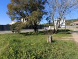 Terrain à bâtir à Lorgues (83510) 2080922-9911annonce2202502149mPcB.jpeg Maisons France Confort