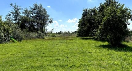 Quarouble Terrain à bâtir - 2080554-11021annonce120250214FGIxt.jpeg Maisons France Confort