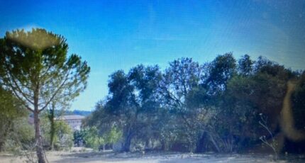 Campagnan Maison neuve - 2046242-11017annonce3202501103WgD5.jpeg Maisons France Confort