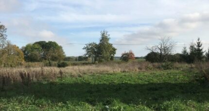 Ussy-sur-Marne Terrain à bâtir - 2081570-5508annonce120250215r3bBQ.jpeg Maisons France Confort
