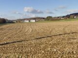 Maison à construire à Hirsingue (68560) 2053988-11139annonce120250116pT4oW.jpeg Maisons France Confort