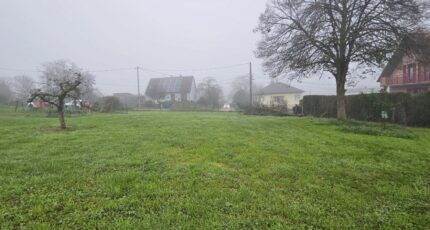 Burnhaupt-le-Haut Maison neuve - 2053905-11139annonce120250116Rchtu.jpeg Maisons France Confort