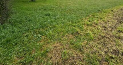 Allouis Maison neuve - 2084602-10999annonce120250219UGRp9.jpeg Maisons France Confort
