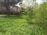 Maison à construire à Puget-sur-Argens (83480) 2085160-11157annonce1202502207FM7L.jpeg Maisons France Confort