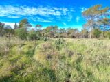 Terrain à bâtir à Bagnols-en-Forêt (83600) 2085319-11157annonce120250220eFEJ4.jpeg Maisons France Confort
