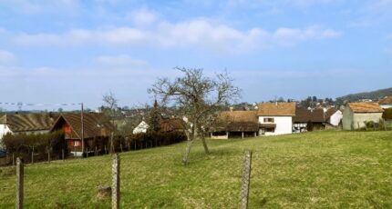 Durlinsdorf Maison neuve - 2085215-11210annonce120250219HnONg.jpeg Maisons France Confort