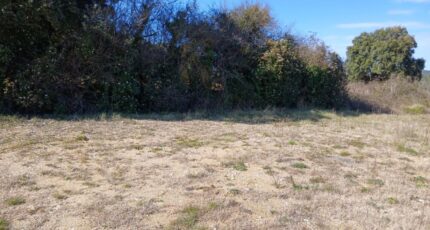 Sainte-Croix-de-Quintillargues Terrain à bâtir - 2086095-11040annonce120250221cDvN3.jpeg Maisons France Confort