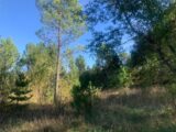Maison à construire à Salavas (07150) 2086290-11001annonce120250221eJDHU.jpeg Maisons France Confort