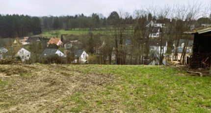 Buschwiller Terrain à bâtir - 2085655-11210annonce120250220Gz3cC.jpeg Maisons France Confort