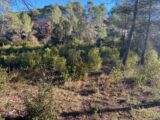 Terrain à bâtir à Brignoles (83170) 2087441-10122annonce120250221g76BJ.jpeg Maisons France Confort