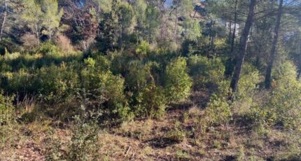 Brignoles Terrain à bâtir - 2087441-10122annonce120250221g76BJ.jpeg Maisons France Confort