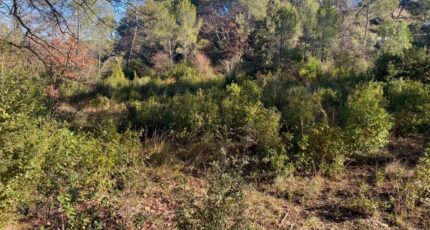 Brignoles Terrain à bâtir - 2087441-10122annonce220250221SSXtI.jpeg Maisons France Confort