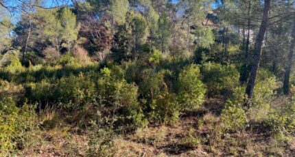 Brignoles Terrain à bâtir - 2087441-10122annonce320250221yMvPZ.jpeg Maisons France Confort