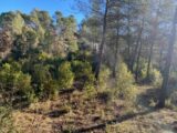 Terrain à bâtir à Brignoles (83170) 2087441-10122annonce420250221JXaDC.jpeg Maisons France Confort