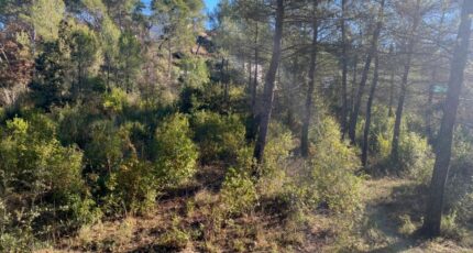 Brignoles Terrain à bâtir - 2087441-10122annonce420250221JXaDC.jpeg Maisons France Confort