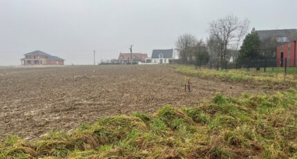 Haute-Avesnes Terrain à bâtir - 2087601-10222annonce220250222pqB57.jpeg Maisons France Confort