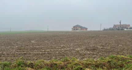 Haute-Avesnes Terrain à bâtir - 2087601-10222annonce320250222ThD5c.jpeg Maisons France Confort