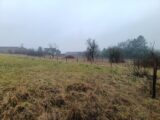 Terrain à bâtir à Galfingue (68990) 2087087-6989annonce120250221bQZVr.jpeg Maisons France Confort