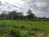 Maison à construire à Ondes (31330) 2060838-5202annonce1202501246WHWK.jpeg Maisons France Confort