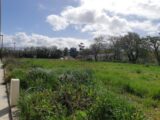 Maison à construire à Ondes (31330) 2060838-5202annonce220250124ZeJZk.jpeg Maisons France Confort