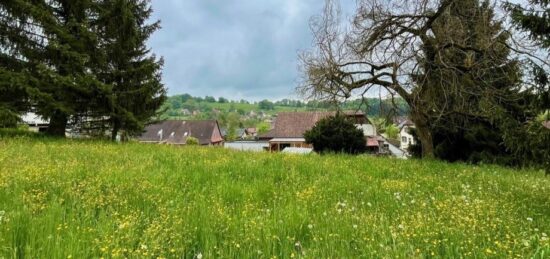Terrain à bâtir à Bendorf, Grand Est