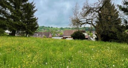 Bendorf Maison neuve - 2059803-11139annonce120250123dvPlb.jpeg Maisons France Confort