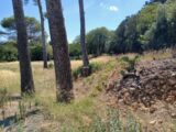 Terrain à bâtir à Cournonsec (34660) 2059405-3243annonce220241002CtxRV.jpeg Maisons France Confort