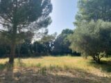 Maison à construire à Le Pouget (34230) 2059490-3243annonce120241001r1ROT.jpeg Maisons France Confort