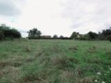 Maison à construire à Cassagnabère-Tournas (31420) 2087434-10326annonce120250221Tdyt1.jpeg Maisons France Confort