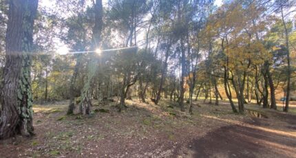 Salernes Terrain à bâtir - 2088661-10122annonce320250117VK7XD.jpeg Maisons France Confort
