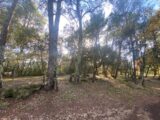 Terrain à bâtir à Salernes (83690) 2088661-10122annonce120250117I5R3c.jpeg Maisons France Confort