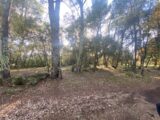 Terrain à bâtir à Salernes (83690) 2088661-10122annonce420250117LEUb9.jpeg Maisons France Confort