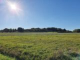 Maison à construire à Ardentes (36120) 2089043-10775annonce120250224UbTxA.jpeg Maisons France Confort