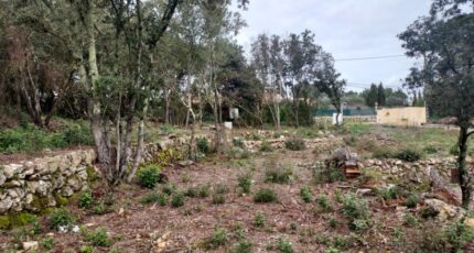 Montfort-sur-Argens Maison neuve - 2090232-11137annonce120250225FboDr.jpeg Maisons France Confort