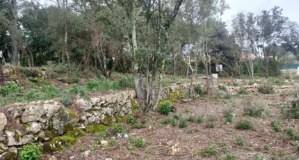 Montfort-sur-Argens Maison neuve - 2090232-11137annonce220250225QUvJz.jpeg Maisons France Confort