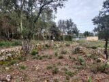 Terrain à bâtir à Montfort-sur-Argens (83570) 2090220-11137annonce120250225FboDr.jpeg Maisons France Confort