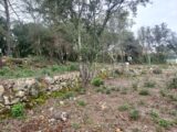 Terrain à bâtir à Montfort-sur-Argens (83570) 2090220-11137annonce220250225QUvJz.jpeg Maisons France Confort