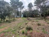 Terrain à bâtir à Montfort-sur-Argens (83570) 2090240-11137annonce1202502252RFNH.jpeg Maisons France Confort