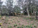 Terrain à bâtir à Montfort-sur-Argens (83570) 2090240-11137annonce220250225ToIWG.jpeg Maisons France Confort