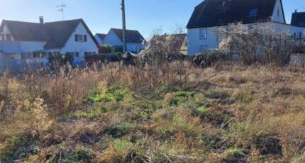 Fortschwihr Maison neuve - 2060879-5767annonce120250124G4SbS.jpeg Maisons France Confort