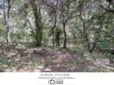 Terrain à bâtir à Lorgues (83510) 2090298-3951annonce220250226fEiNv.jpeg Maisons France Confort